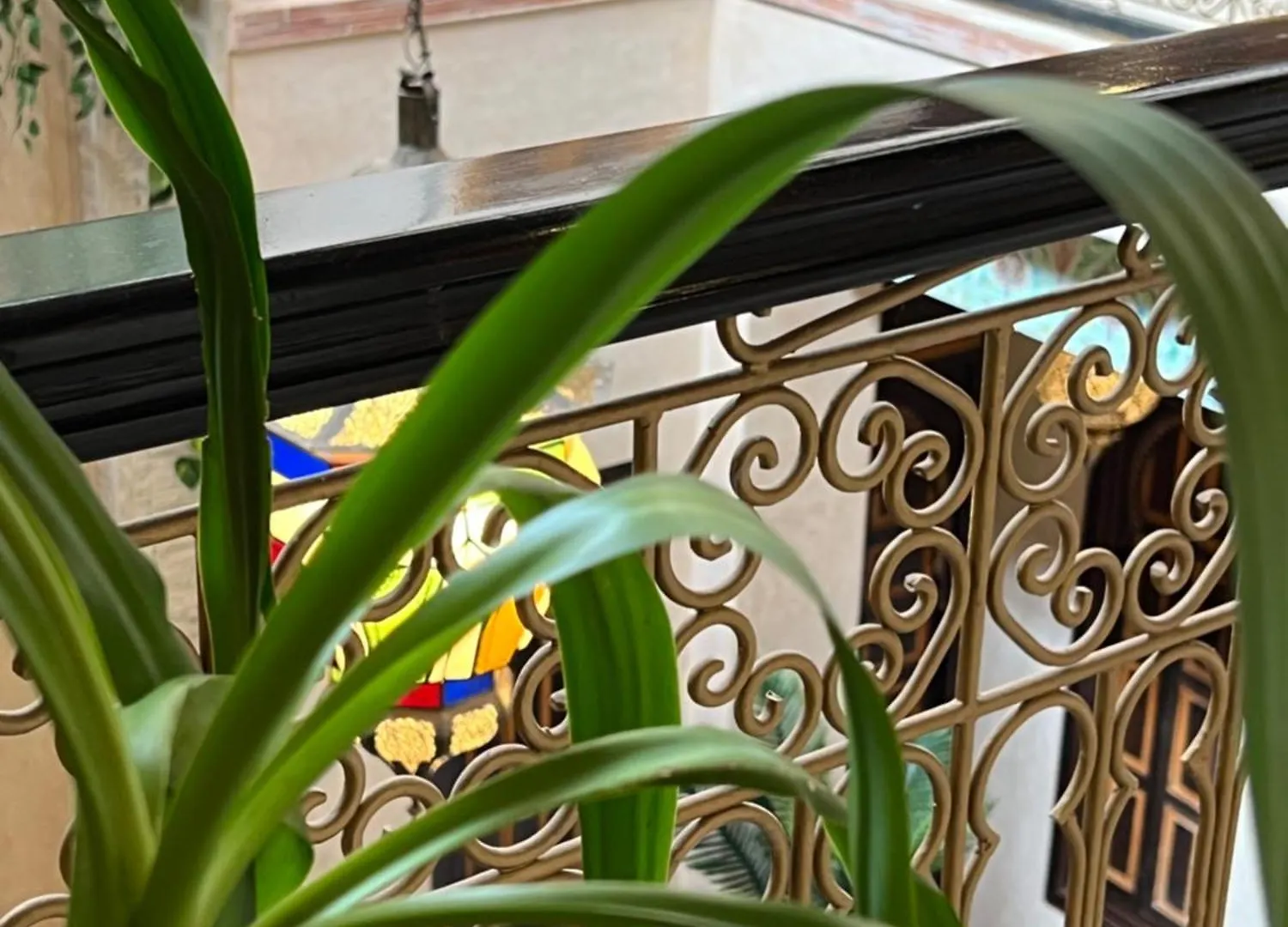 Riad Alice Terrace & Spa Marrakesh Marruecos